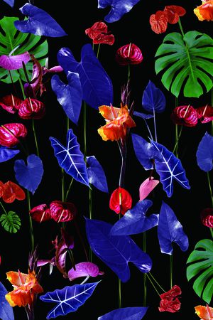 Osklen印花华亿平台图片