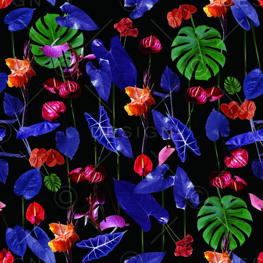 Osklen印花华亿平台图片