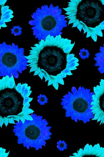 376727-向日葵大团花