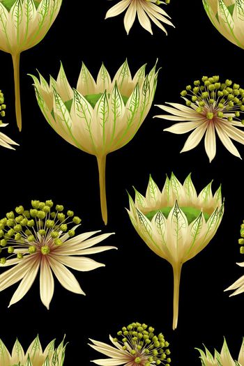 376839-手绘元素团花组合