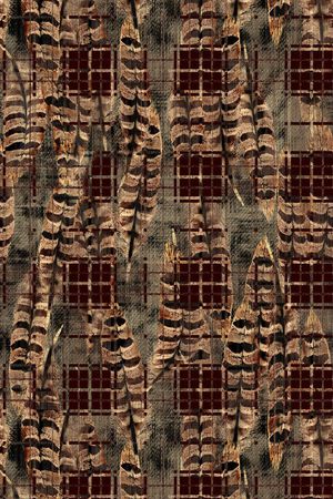 动物印花华亿平台图片