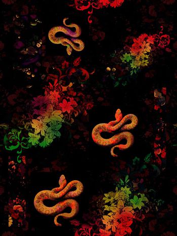376976-花与蛇