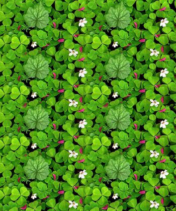 数码印印花华亿平台图片