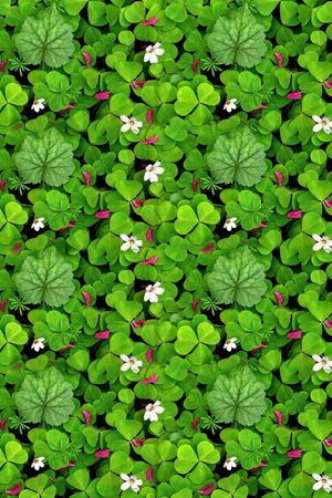 数码印印花华亿平台图片