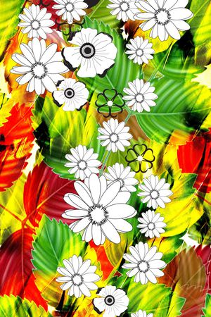 鸟羽印花华亿平台图片