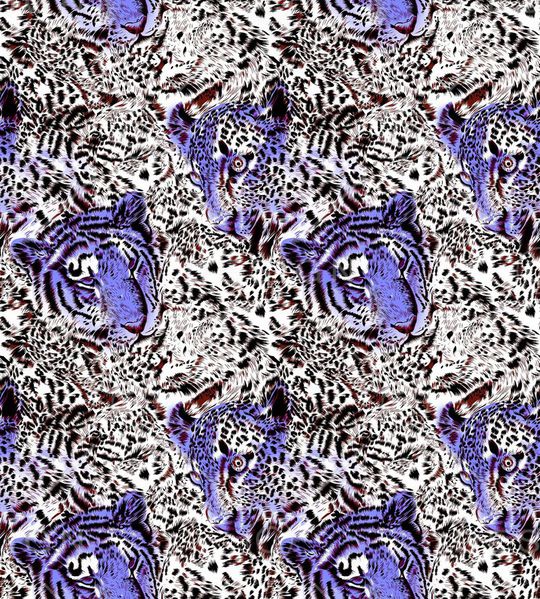 豹纹印花华亿平台图片