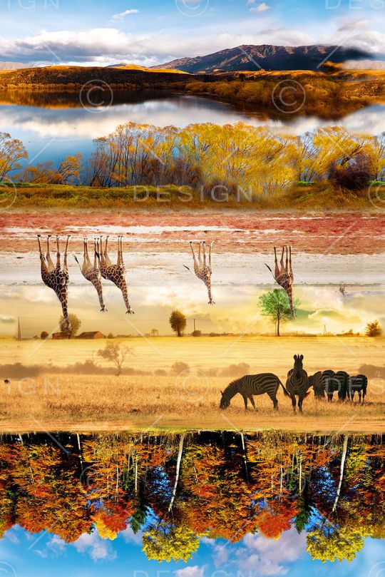 风景印花华亿平台图片