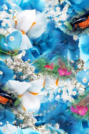 兰花印花华亿平台图片