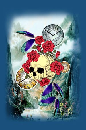 骷髅图案印花华亿平台图片