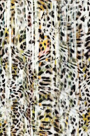 豹子印花华亿平台图片