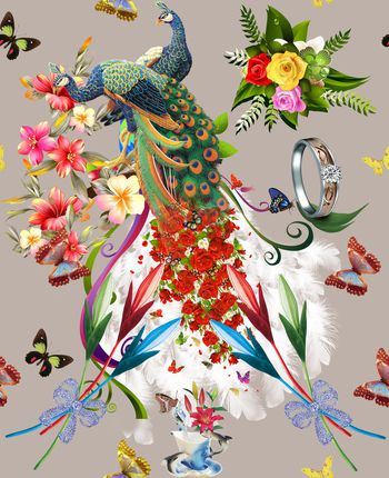 377161-孔雀蝴蝶花朵