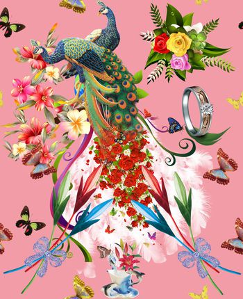 377162-孔雀蝴蝶花朵