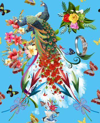 377163-孔雀蝴蝶花朵
