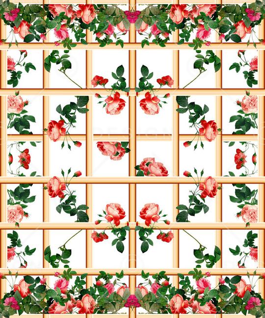 红玫瑰印花华亿平台图片