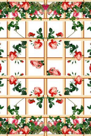 红玫瑰印花华亿平台图片