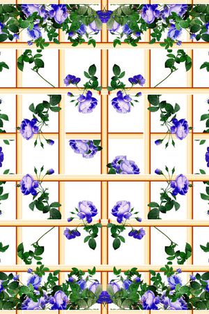 红玫瑰印花华亿平台图片