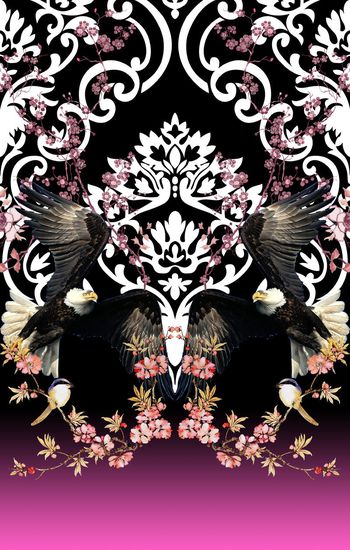 377238-定位鹰与花