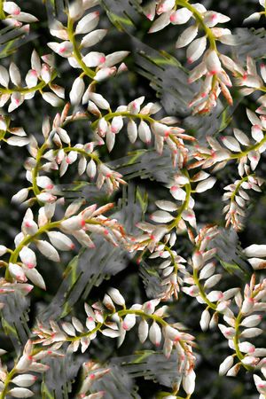 写实印花华亿平台图片