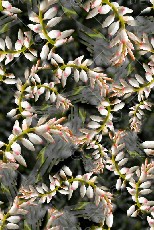 写实印花华亿平台图片