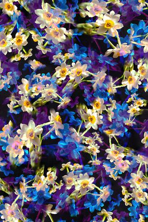 多彩印花华亿平台图片