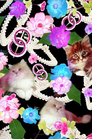 动物印花华亿平台图片