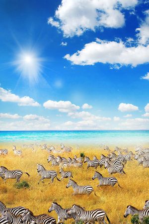 写实印花华亿平台图片