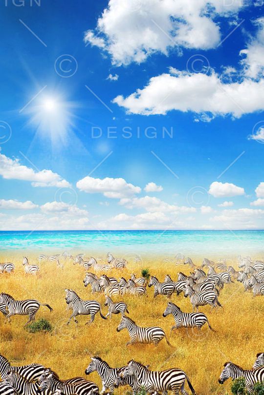 写实印花华亿平台图片