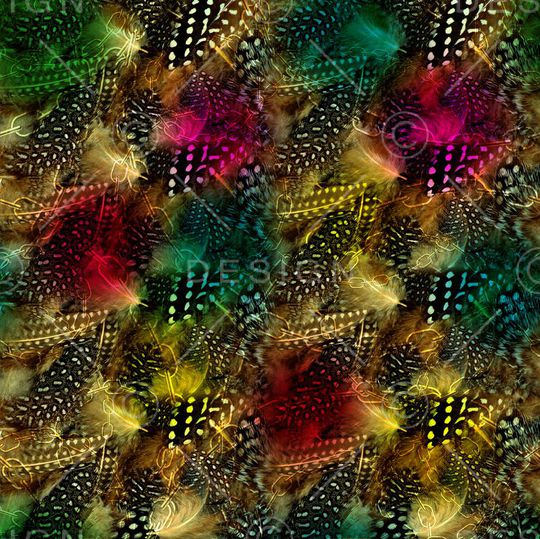 羽毛印花华亿平台图片