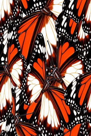 蝴蝶印花华亿平台图片