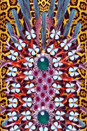 蝴蝶 珠宝印花华亿平台图片