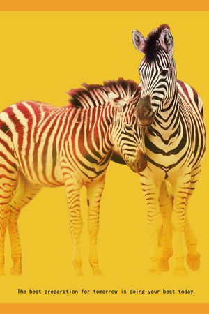 马印花华亿平台图片