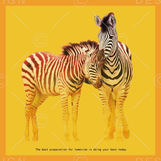 马印花华亿平台图片