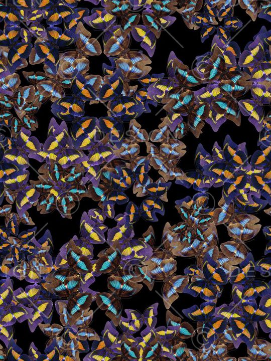 潮流印花华亿平台图片