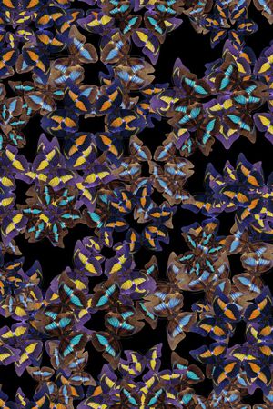 潮流印花华亿平台图片