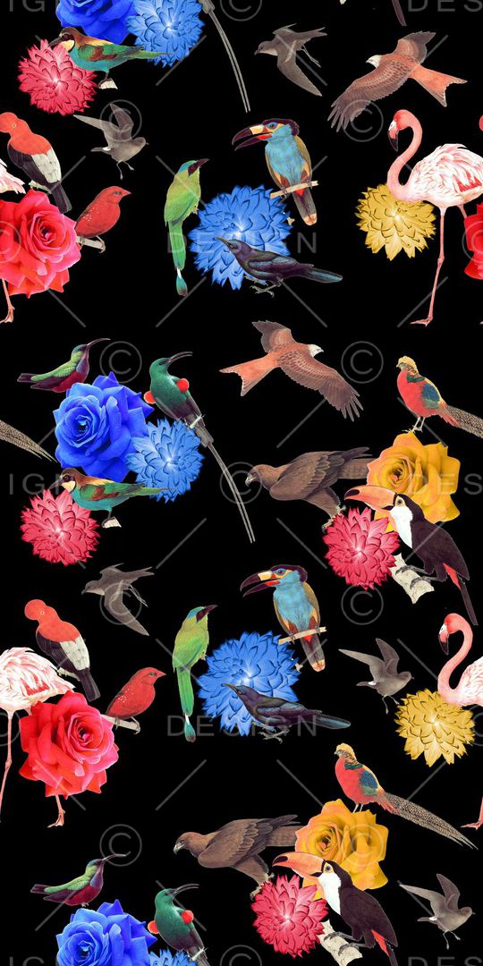 动物印花华亿平台图片