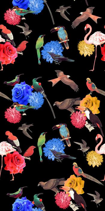 377641-丛林生物动物鸟类花卉玫瑰花