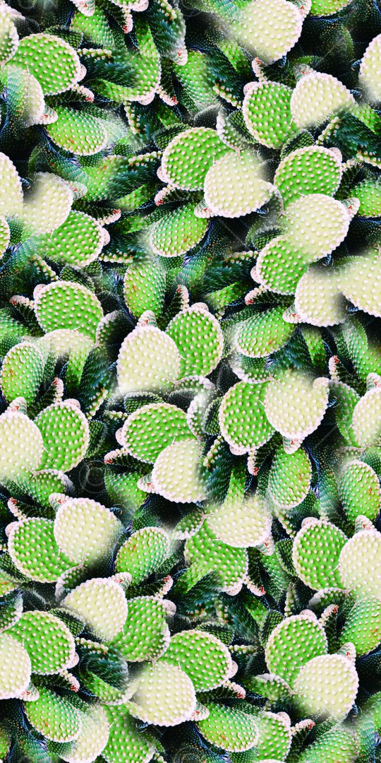 时尚印花华亿平台图片