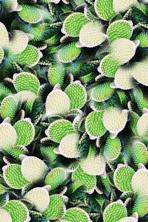 时尚印花华亿平台图片