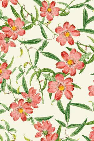 华亿平台印花华亿平台图片