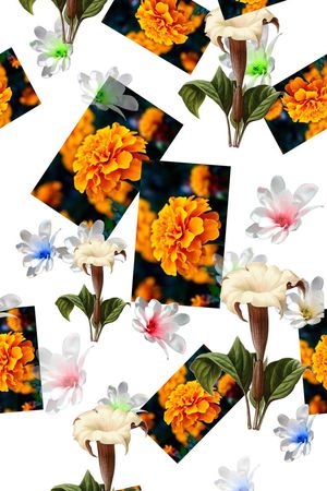 休闲印花华亿平台图片