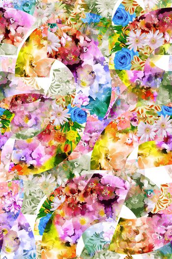 377857-花卉拼贴