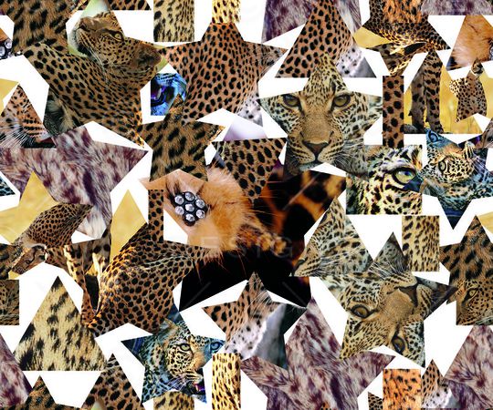 豹文印花华亿平台图片