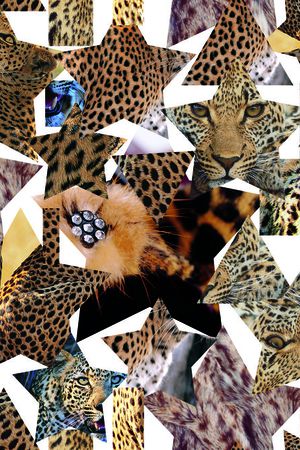 豹文印花华亿平台图片