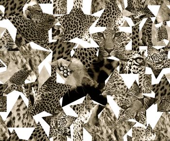 377976-复湖几何动物纹理豹纹配饰文艺时装周