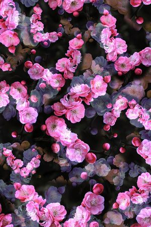 田园印花华亿平台图片