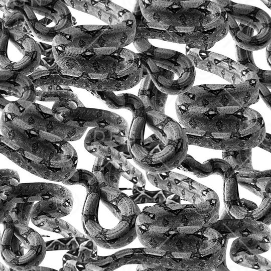 潮流印花华亿平台图片