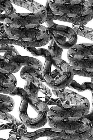 潮流印花华亿平台图片