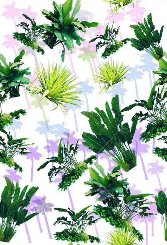 热带雨林印花华亿平台图片