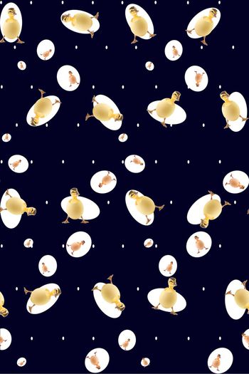 378169-波点萌萌哒小黄鸭