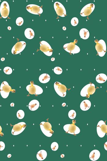 378172-波点萌萌哒小黄鸭